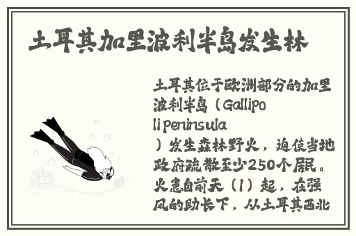 国产毛豆3与进口版区别